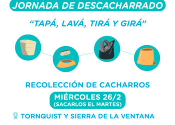 Dengue: Se realizará una jornada de descacharrado en Tornquist y Sierra de la Ventana