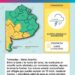 Alerta amarilla por tormentas para este lunes
