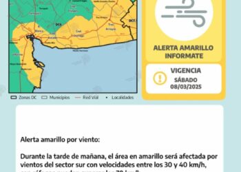 Tras las intensas lluvias, rige una alerta amarilla por viento para el sábado