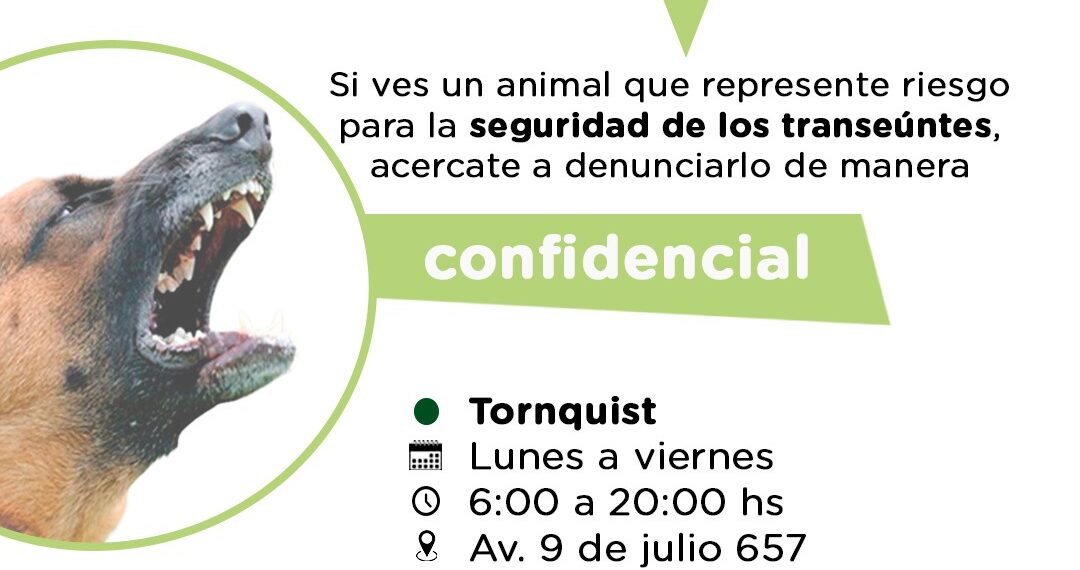 Zoonosis: solicitan colaboración ante situaciones de riesgo con animales