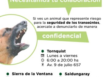 Zoonosis: solicitan colaboración ante situaciones de riesgo con animales