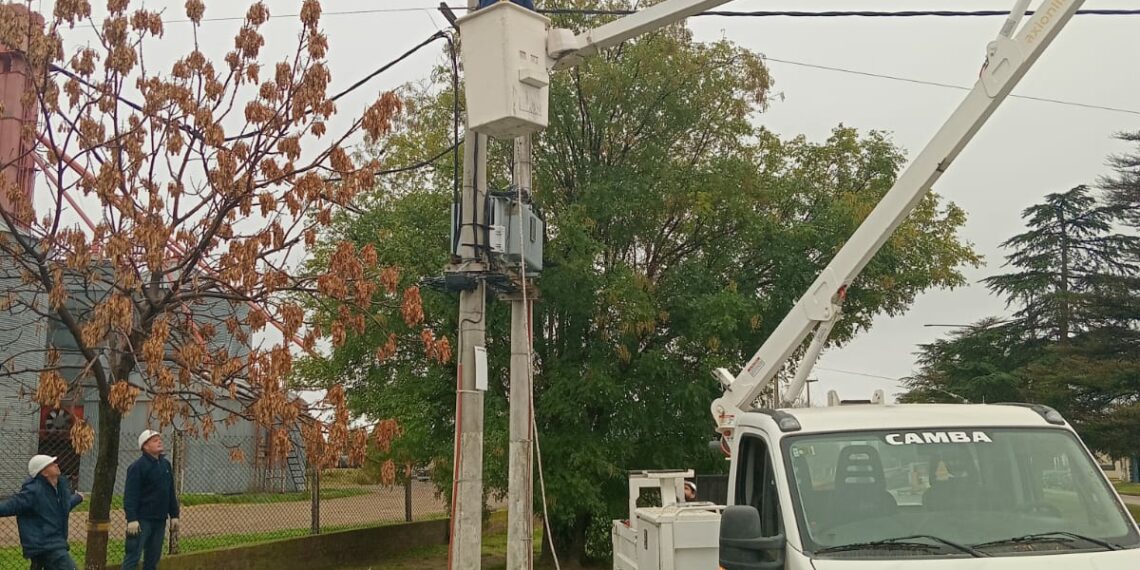 CELT Informa: Continúa el desarrollo del plan de trabajos 2025