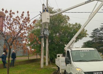 CELT Informa: Continúa el desarrollo del plan de trabajos 2025