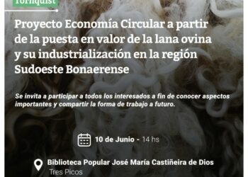 Se presentará el proyecto regional de puesta en valor de la lana ovina de descarte