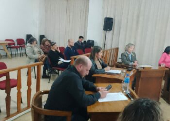 HCD.: Informe de la sesión ordinaria del 04-06-25