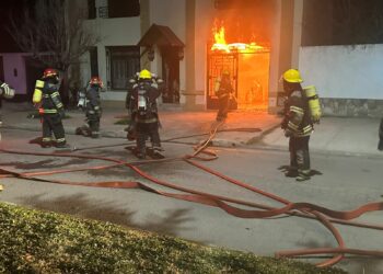 Incendio en Belgrano al 200: daños materiales y la pérdida de una mascota