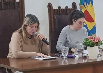 HCD. Los temas tratados en la sesión del 06-08-25 (videos y fotos)