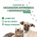 Lunes 15: nueva campaña de vacunación antirrábica en Tornquist