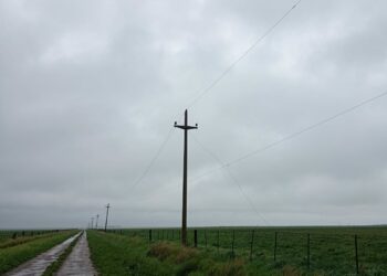 El temporal provocó varios daños en el tendido eléctrico y un intenso trabajo del personal de la CELT