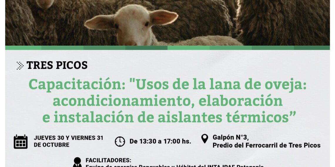    Se dictará la capacitación ‘Usos de la lana de oveja: acondicionamiento, elaboración e instalación de aislantes térmicos’