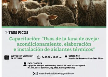    Se dictará la capacitación ‘Usos de la lana de oveja: acondicionamiento, elaboración e instalación de aislantes térmicos’