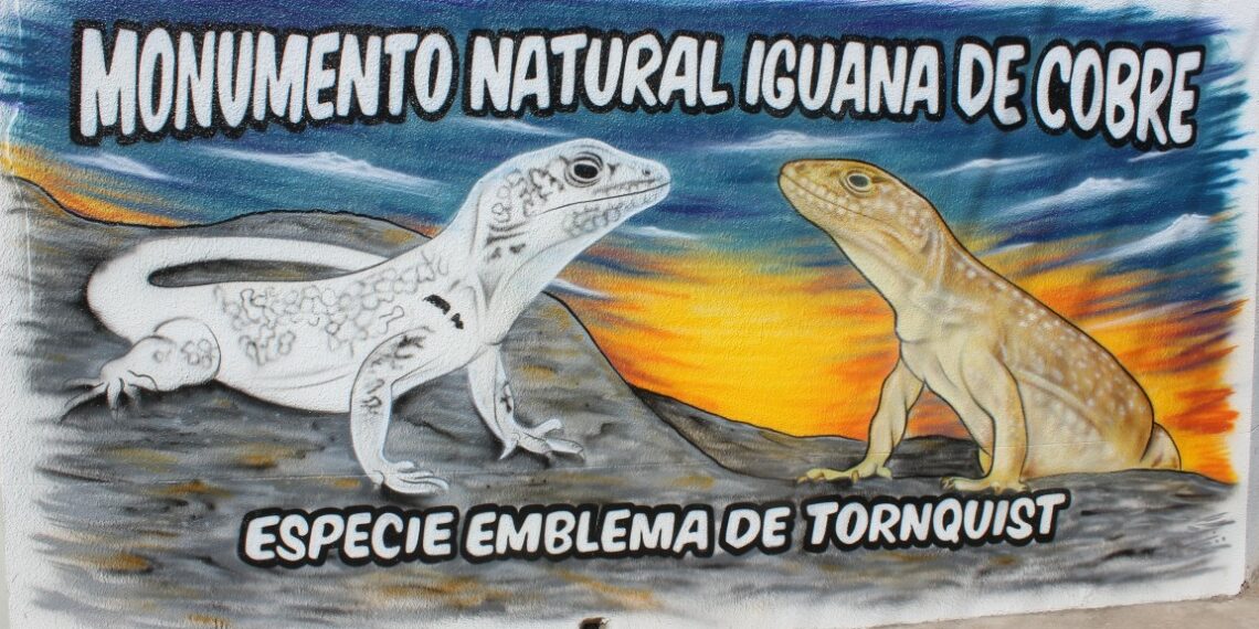 La iguana de cobre, símbolo de la Comarca, plasmada en un mural del artista local “Manu” Abarzua