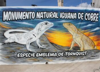 La iguana de cobre, símbolo de la Comarca, plasmada en un mural del artista local “Manu” Abarzua