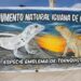 La iguana de cobre, símbolo de la Comarca, plasmada en un mural del artista local “Manu” Abarzua