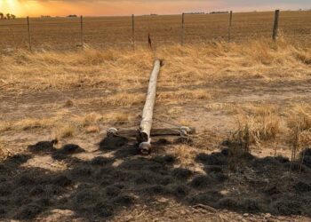 Fuerte temporal de viento, lluvia y cenizas provocó inconvenientes en el sector rural