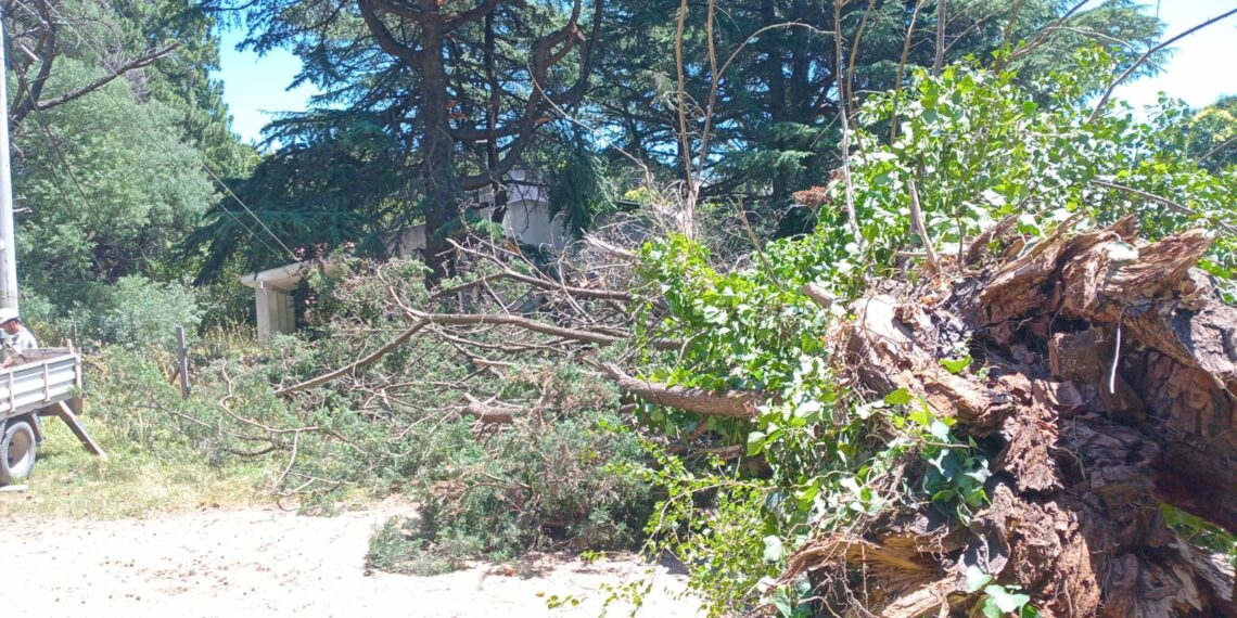 La caída de un árbol provocó un corte de energía y de cable en un sector de Villa Ventana