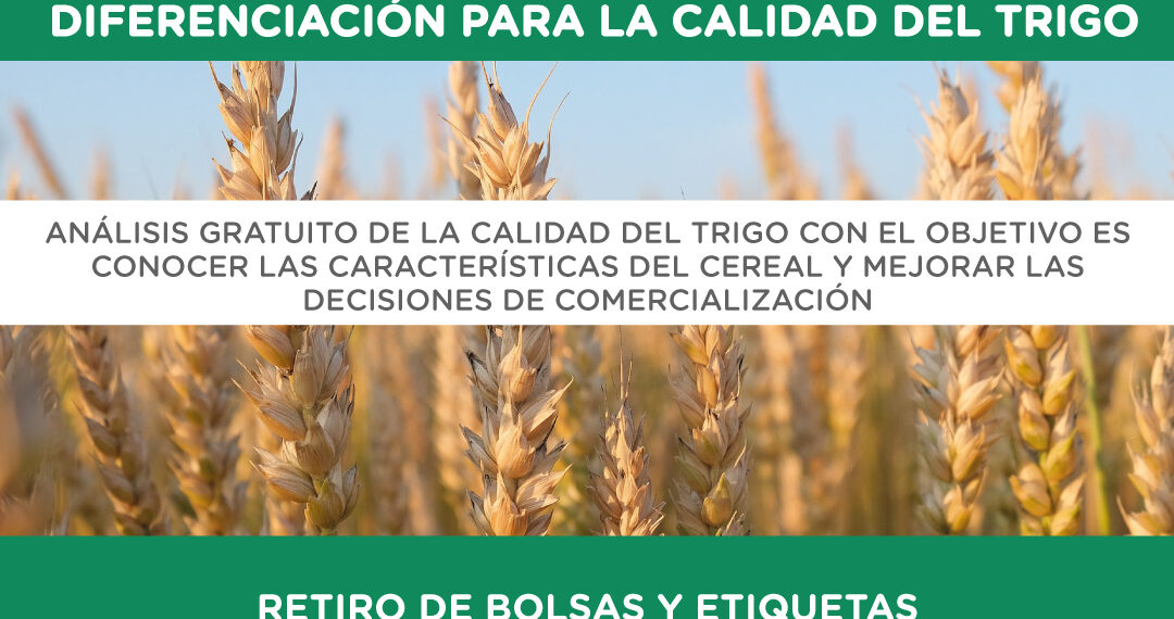 Abierta la convocatoria al programa de mejoramiento y diferenciación para la calidad del Trigo
