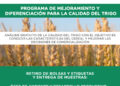 Abierta la convocatoria al programa de mejoramiento y diferenciación para la calidad del Trigo