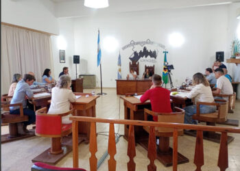 Todo lo que se dijo en la sesión extraordinaria del HCD. del 25 de febrero (videos)