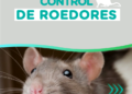 Bromatología y Zoonosis: Recomendaciones para prevenir la presencia de roedores