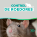 Bromatología y Zoonosis: Recomendaciones para prevenir la presencia de roedores