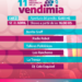Saldungaray se prepara para vivir una nueva Fiesta Provincial de la Vendimia