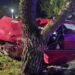 Un vehículo impacto contra un árbol ubicado en el boulevard frente al Teatro Funke