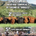 Se conoció el programa de actividades para la 50º Exposición Rural, Industrial, Comercial y de Turismo de Tornquist