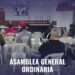 Gabriel Artola seguirá siendo el presidente de Automoto