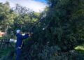 Temporal en Villa Ventana: continúan los trabajos para restablecer servicios eléctricos y de internet