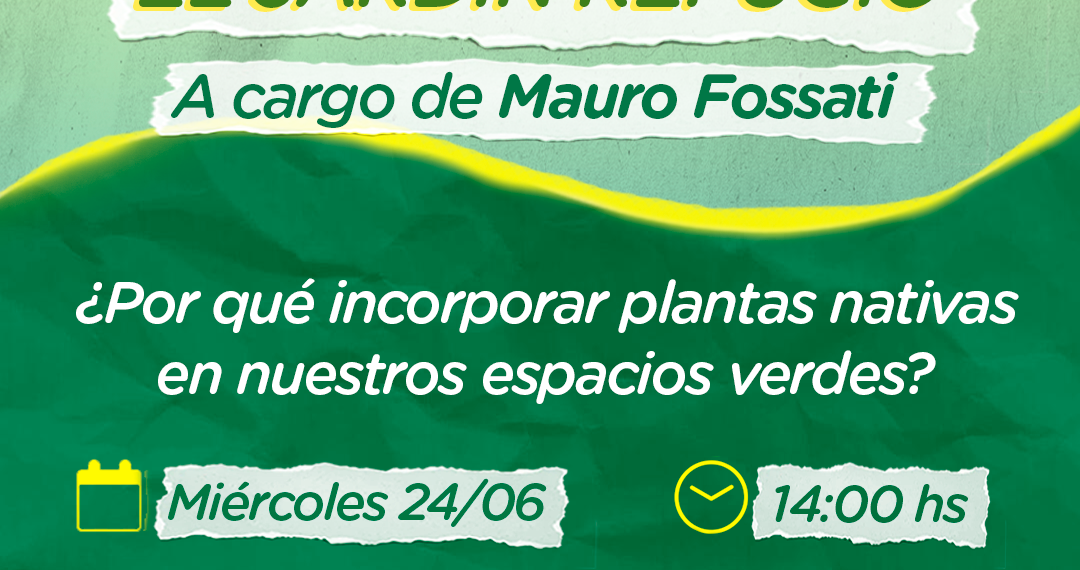 ‘El jardín refugio’, charla sobre plantas nativas en Sierra de la Ventana