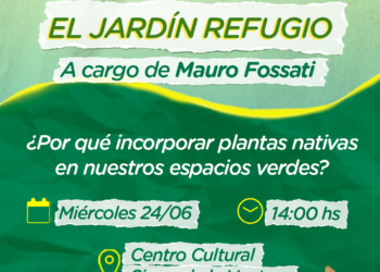 ‘El jardín refugio’, charla sobre plantas nativas en Sierra de la Ventana