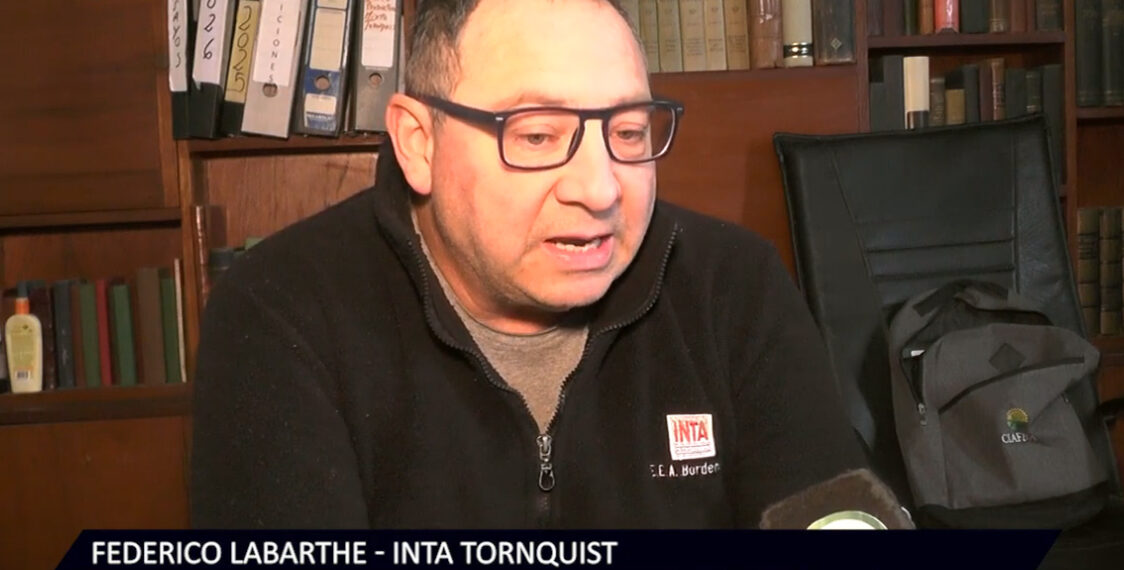 INTA Tornquist: el panorama productivo es alentador pese a las demoras en la siembra por el exceso de humedad