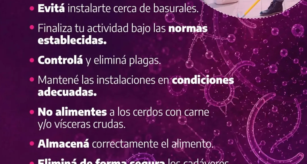 Ante el brote de triquinosis en la región, recomendaciones de la Secretaría de Salud